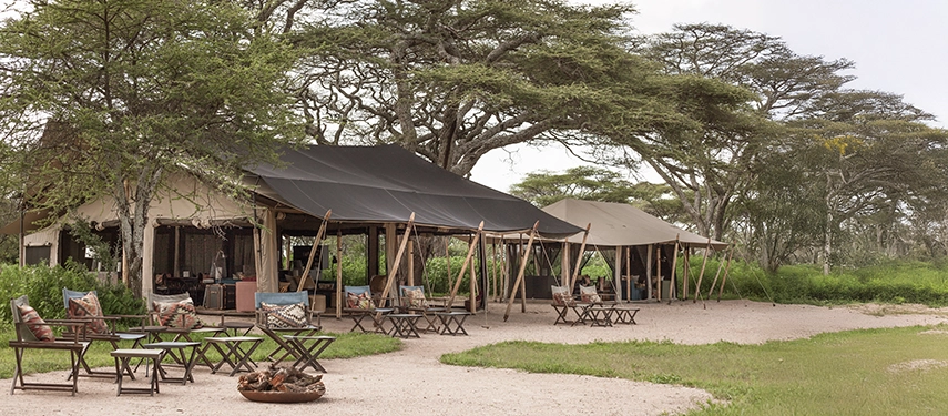 The main relaxation area at Nyasi Tented Camp features canvas seating beneath mature trees, blending seamlessly into the surrounding savannah.