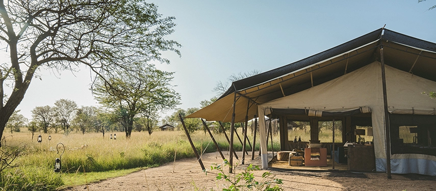 Nyasi Tented Camp sits at the edge of open grasslands, with canvas spaces opening directly onto the sweeping plains of the Lamai Wedge.