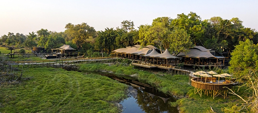 A mid-distance view of Xigera Safari Lodge's scalloped thatched roofline nestled within dense Delta woodland, with elevated timber walkways crossing green channels and a circular sundeck extending over the water in soft evening light.