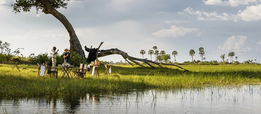 A guide and guest enjoy a bush sundowner beneath the sweeping bough of a large riverine tree on the edge of a Delta channel, with fan palms lining the far bank under a wide afternoon sky.