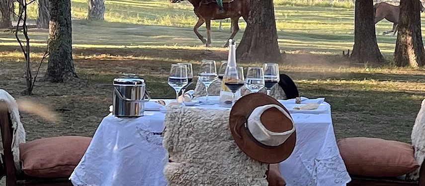 Elegant outdoor lunch setting under trees at Estancia Don Joaquín with horses in the background.