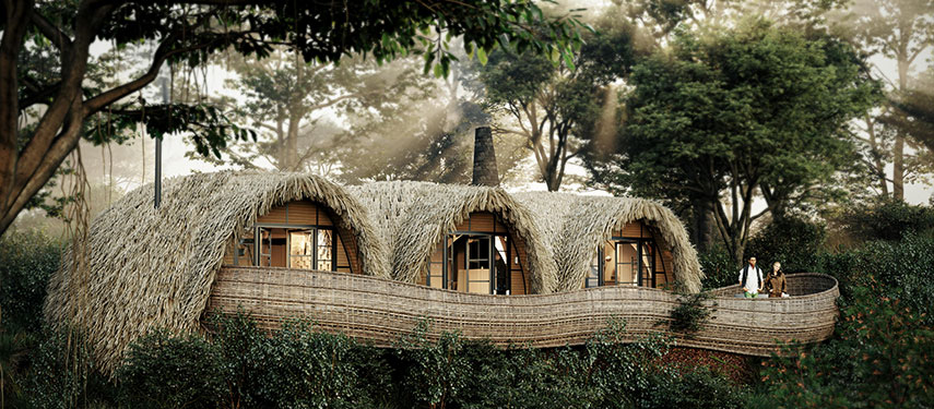Gorilla safari lodge - Bisate Reserve