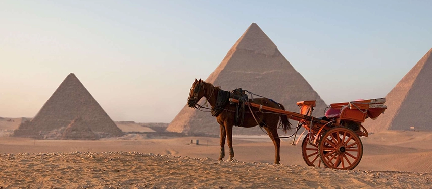 A horse-drawn carriage stands before the Pyramids of Giza in the soft golden light of early morning.