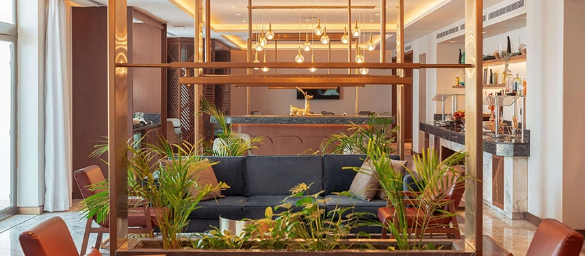 A bright, contemporary lounge space features warm lighting, indoor greenery, and a relaxed atmosphere overlooking the bar area.