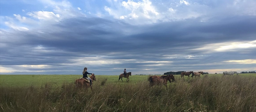Horseback riders crossing a grassy field beneath a dramatic sky at Estancia Don Joaquín.