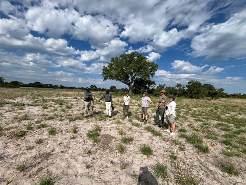 Guests and guides pause on a walking safari in a private Botswana concession, surrounded by vast open plains beneath a dramatic African sky.