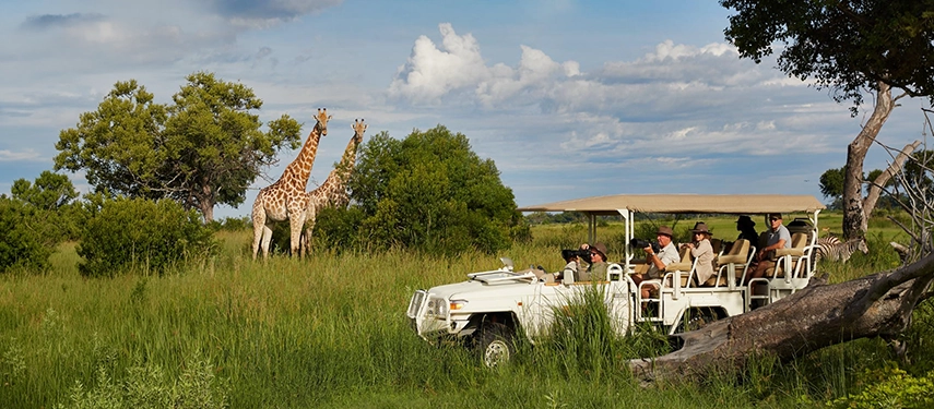 Guests photographing two giraffes from an open safari vehicle in the lush green floodplains of the Okavango Delta, with a zebra visible in the background beneath a blue sky.