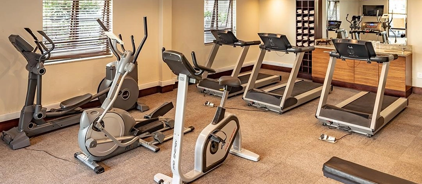 A well-equipped, naturally lit gym offering modern cardio machines for a restorative pre- or post-flight workout.