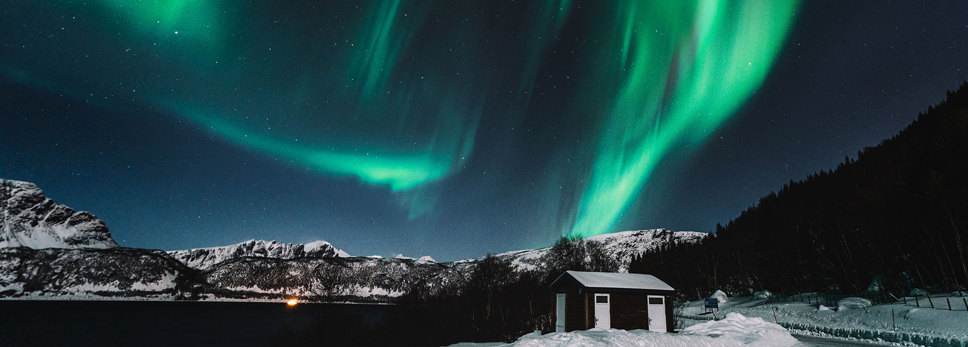 The Northern Lights - aurora borealis - above Svalbard on a captivating winter vacation