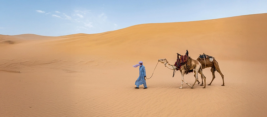 A Berber guide in blue robe leading a camel through the golden sand dunes of the Sahara.