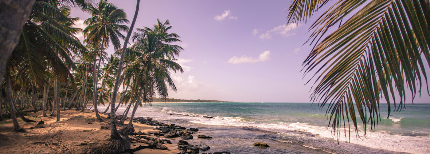 Stunning tropical beach at sunset with palm trees leaning over the sand - Costa Rica