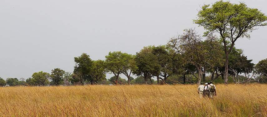 Shinde safari camp, Okavango Delta Botswana