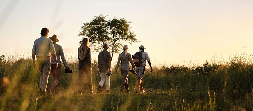A group of five guests and a guide walking in single file through tall golden grass at sunset, silhouetted against a warm pale sky with a lone tree on the horizon.